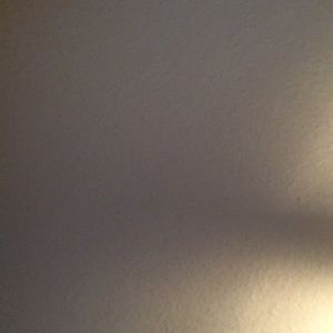 Meet your Posher, Sean